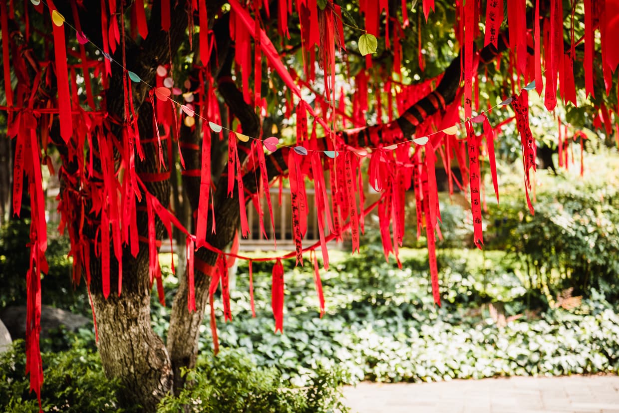 A tree covered with ribbons in the Yunnan Ethnic Village.