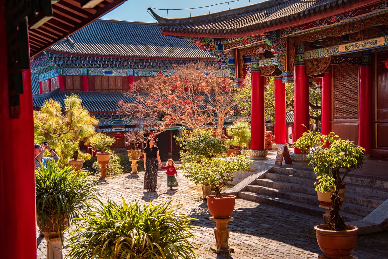 Leaves changing color in Mufu Palace courtyard. Lijiang, China.