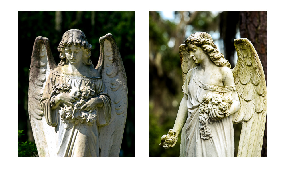 Angel statues from our travel to the bonaventure cemetery in Savannah