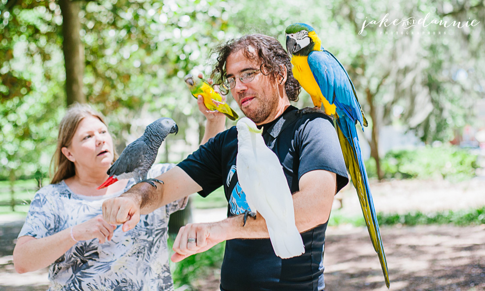 Jake gets loaded up with parrots in Forsyth Park travel photo