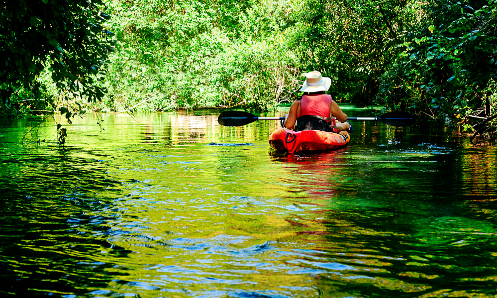 The water in the Weeki Wachee River is slow and easy to navigate. Dannie has no trouble paddling her kayak