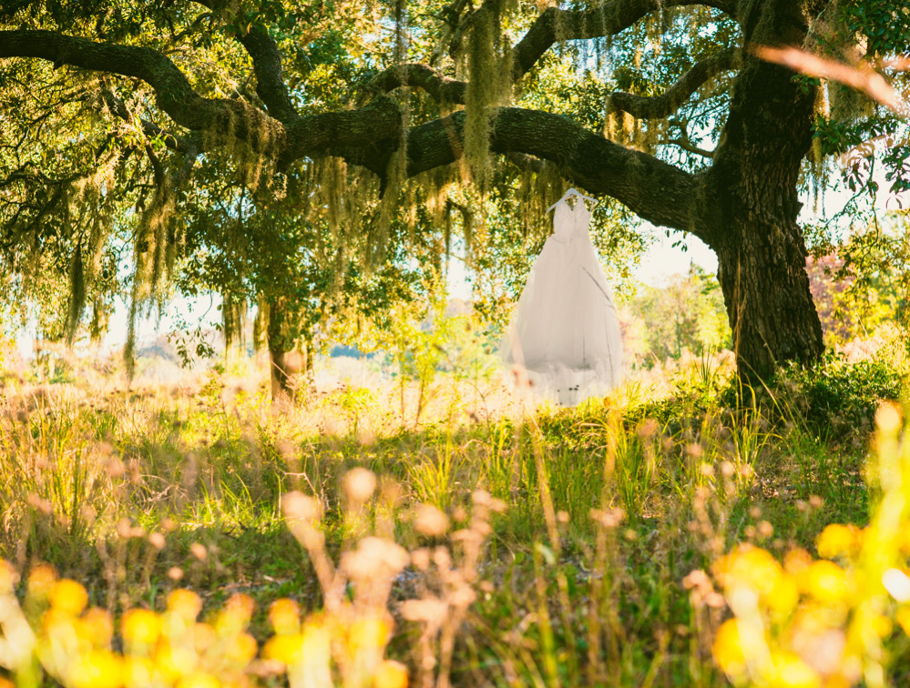 Wedding gown hanging from a tree in a field. There's nothing like nature!