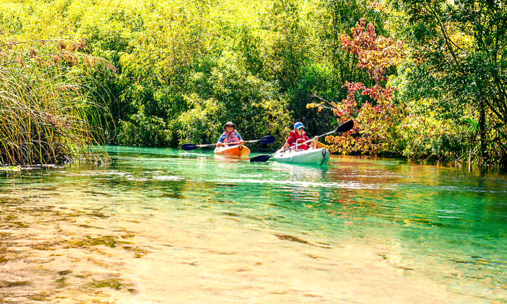 Our family kayak trip down the Weeki Wachee River in Florida