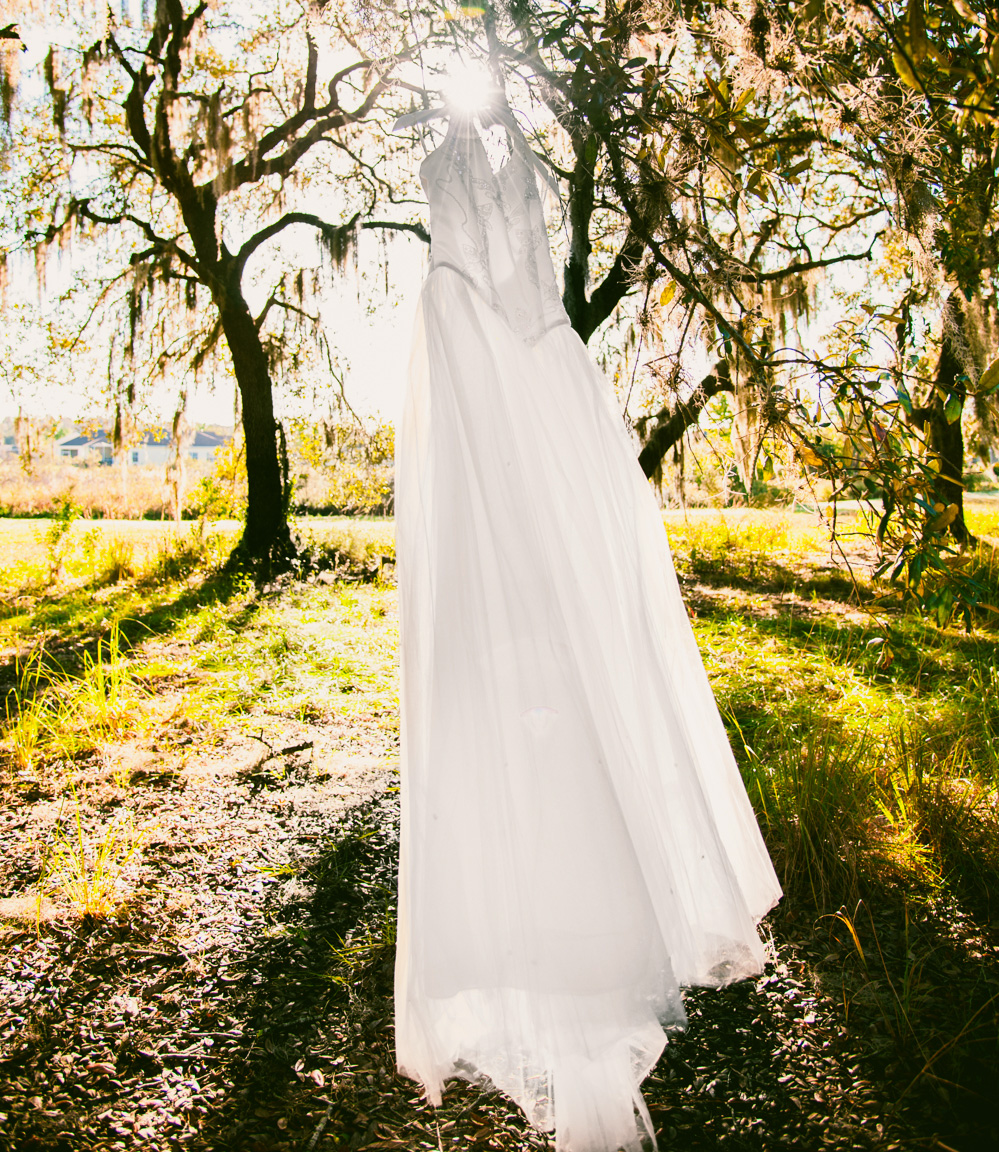 A wedding dress hanging from a tree branch in the morning