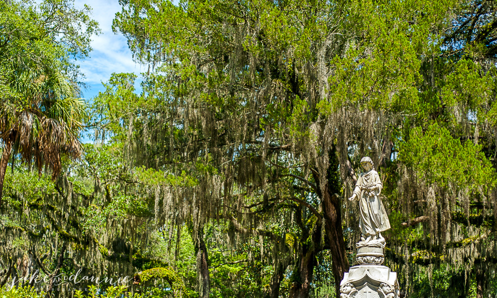 Bonaventure Cemetery in Savannah is home to lots of beautiful statues