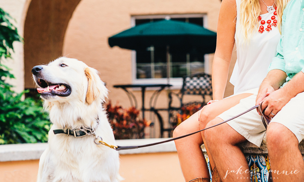 Ellen and Jim keep a leash on their dog while the photographer takes their picture