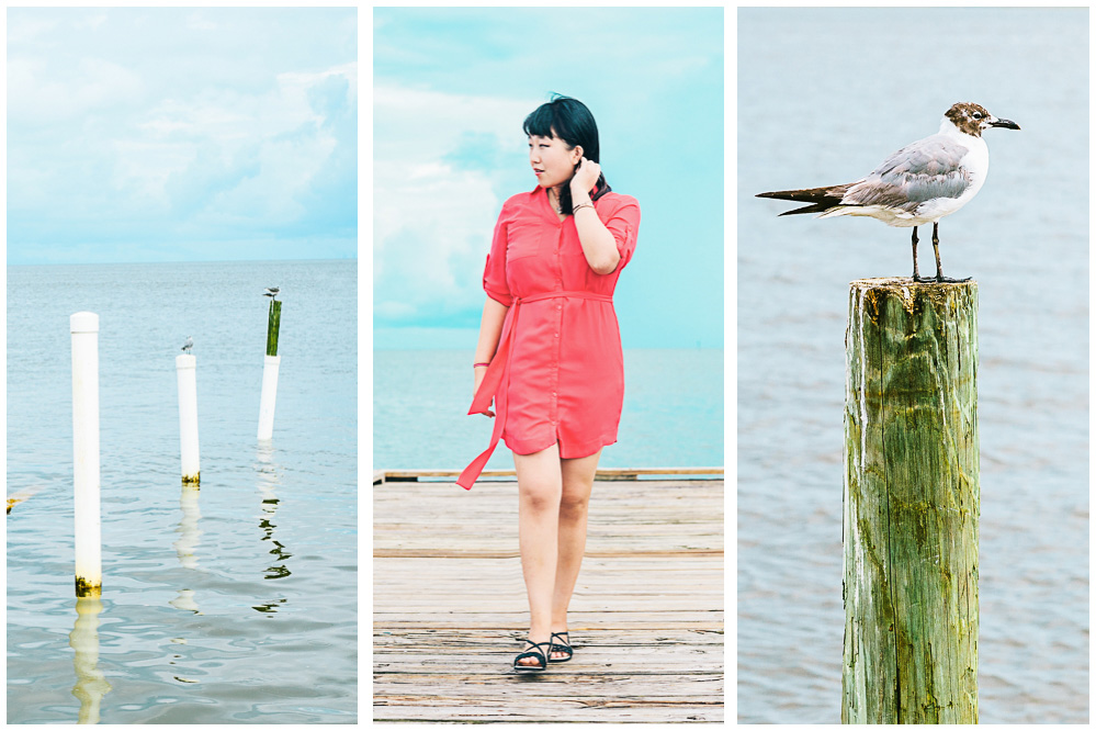 Three photos, some posts sticking out of the water, Dannie walking on a dock, and a seagull standing on a pole