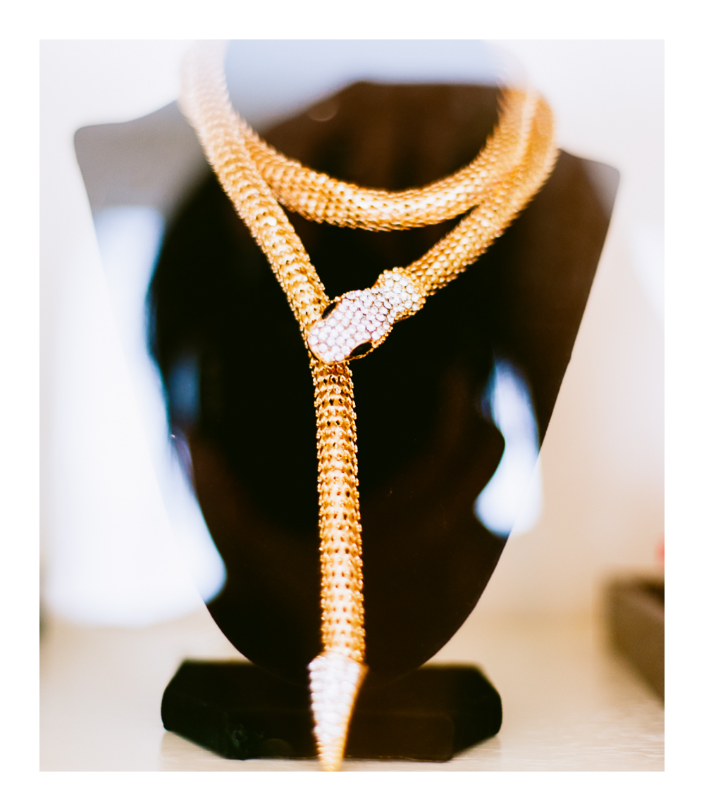 A golden snake necklace that we used as an accessory in our first photo shoot in the new studio