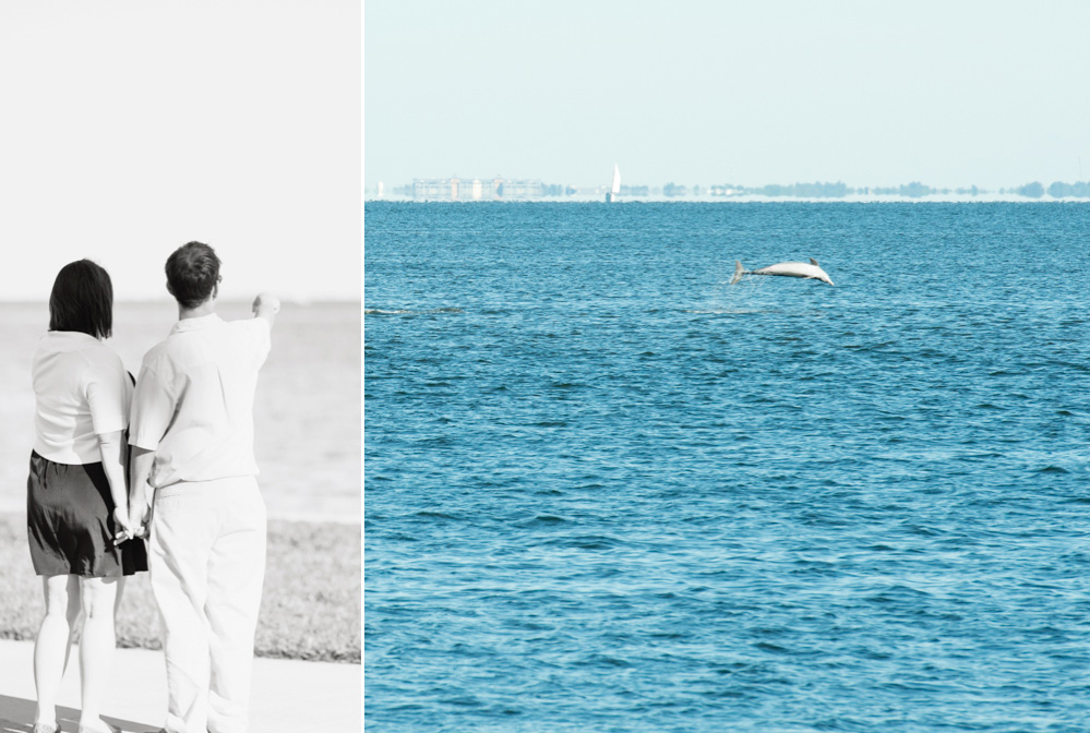 Couple watches a dolphin jump during their engagement session